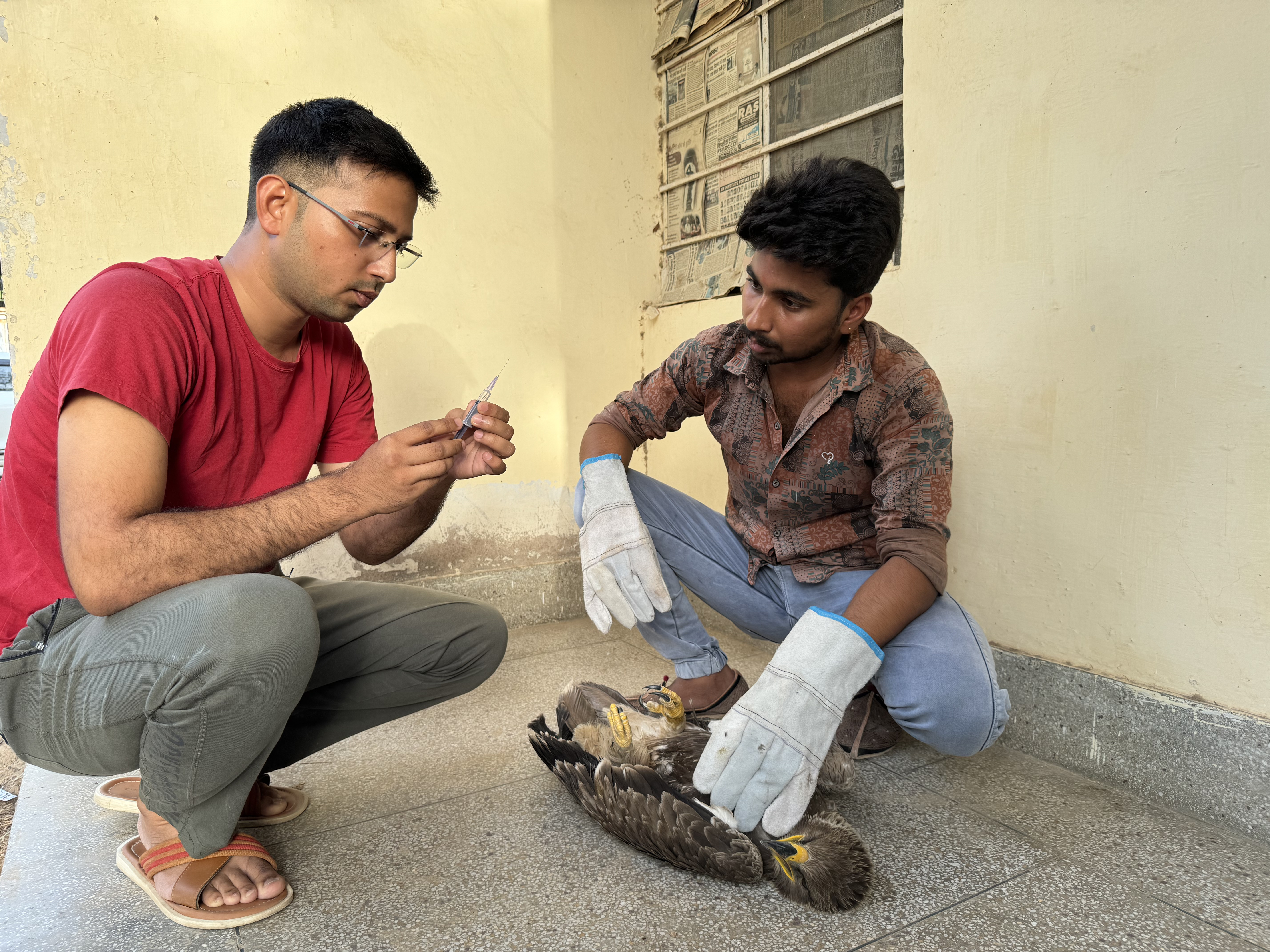 About Maa Karni Rescue NGO