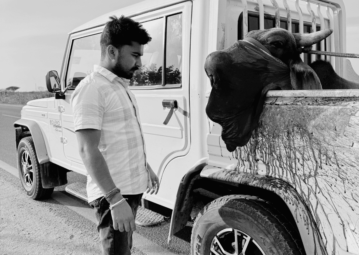 Food & Shelter for Animals