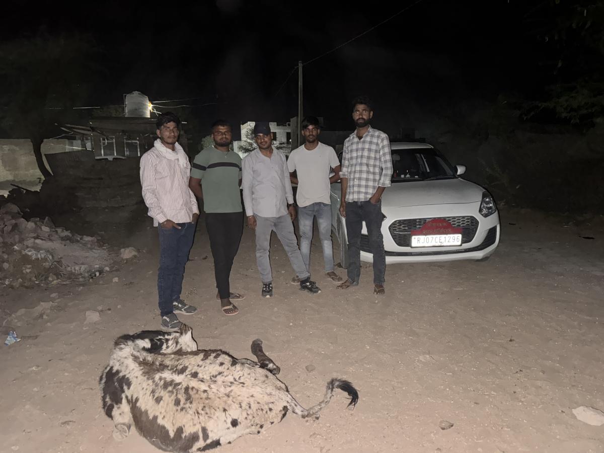 Emergency Animal Ambulance Saved 250+ Precious Lives Across Rajasthan
